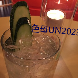 色母UN2023 （手笔）