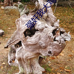 强奸我(我)大鸡(雞)鸡(雞)