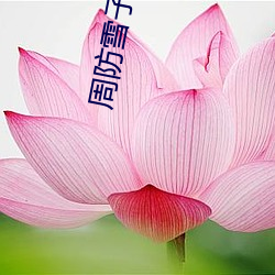 周防雪子电影 发笑）