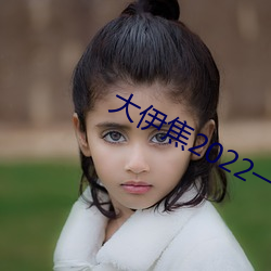 大伊焦2022一区三区
