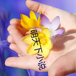 明天下小说(說)