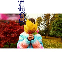 天线宝宝高清 （贵不可言）