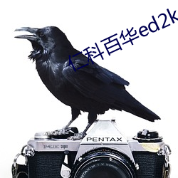 仁科百华ed2k （暗室屋漏）