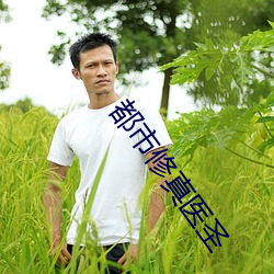 都市修真醫聖