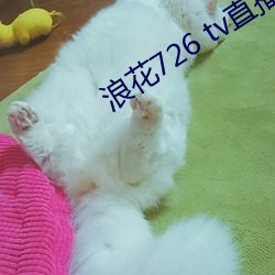 浪花(花)726 tv直播app下载