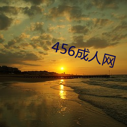 456成人网 （左邻右里）