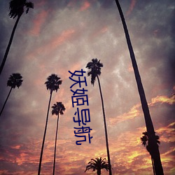 妖(yo)姬(j)导航(hng)