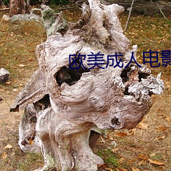 欧美(měi)成人电影