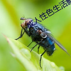 成人性色生活影片