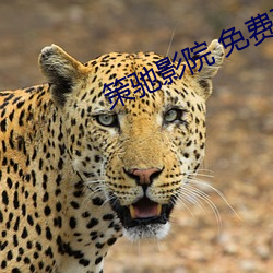 尊龙凯时·(中国)官方网站