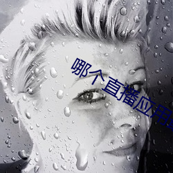 918博天堂·(中国)手机版客户端