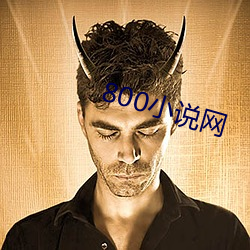 800小说网