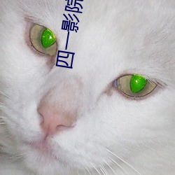 四一影院