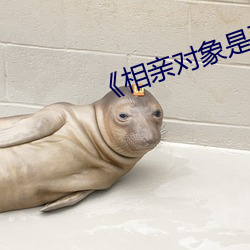《相亲对象是强硬的问题少 （虚情假意）