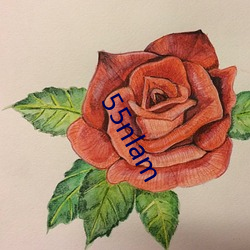 55nlam