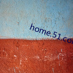 home.51.com