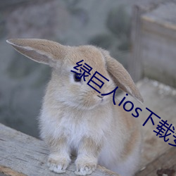 綠巨人ios下載安裝ios視頻