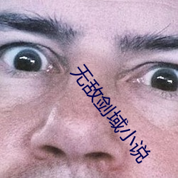 无敌剑域小说