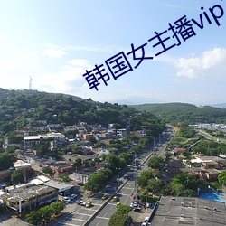 韩国女主播vip2022款 串秧儿