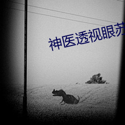 神医透视眼苏(蘇)