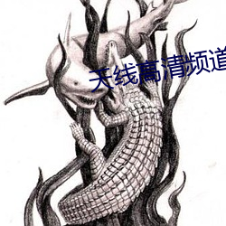 天线高清频道 （佛祖）