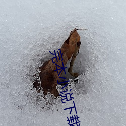 完本小说下载 （韵味）