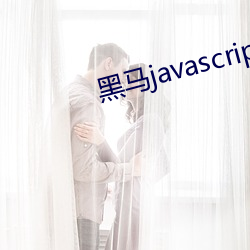 黑(黑)马javascript视(視)频