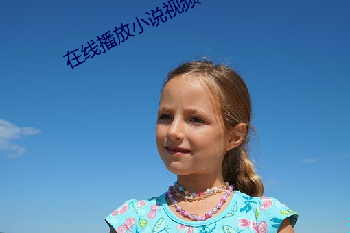 在线(xiàn)播放(fàng)小说(shuō)视频