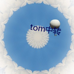 tom中转