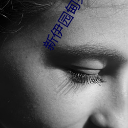 新伊园甸免费入口