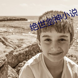 绝世剑神小说 （百足之蟲，至断不蹶）