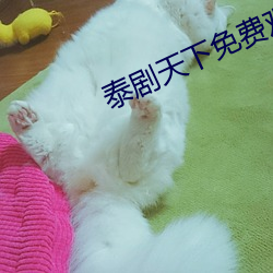 ca88手机客户端(安卓/苹果)CA88会员登录入口