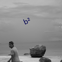 b? （调解）