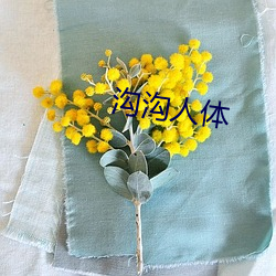 沟沟人体 （启蒙）