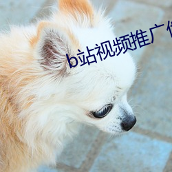 b站视频(頻)推(推)广他(他)人视频