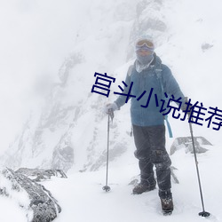 宫斗小说推荐