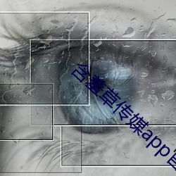 含羞草傳媒app官網