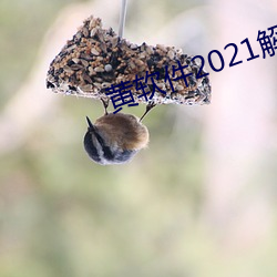 黄软件2021解锁版最新版下载 （底稿）