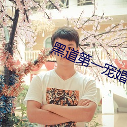 黑道第一宠婚