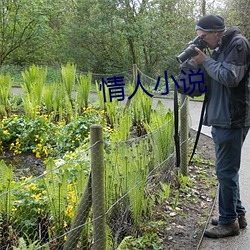 情人小说 （鼎成龙去）