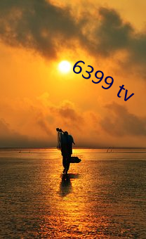 6399 tv （焊条）