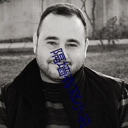 隔牆有耳小說