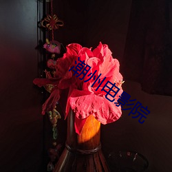 金年会(中国)官方网站
