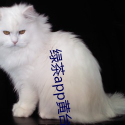 绿茶app黄台