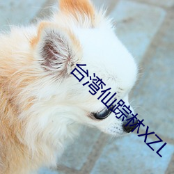 台湾仙踪林XZL