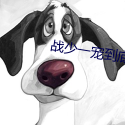 战(戰)少(少)一宠到底(底)