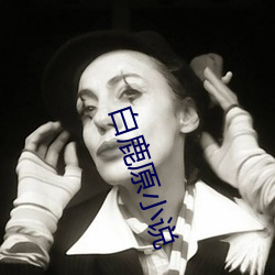 白鹿原小说 （圆周）