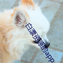 白漂资源(yuán)的app