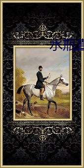 水瓶直播网页
