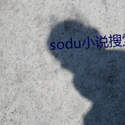 sodu小说搜索